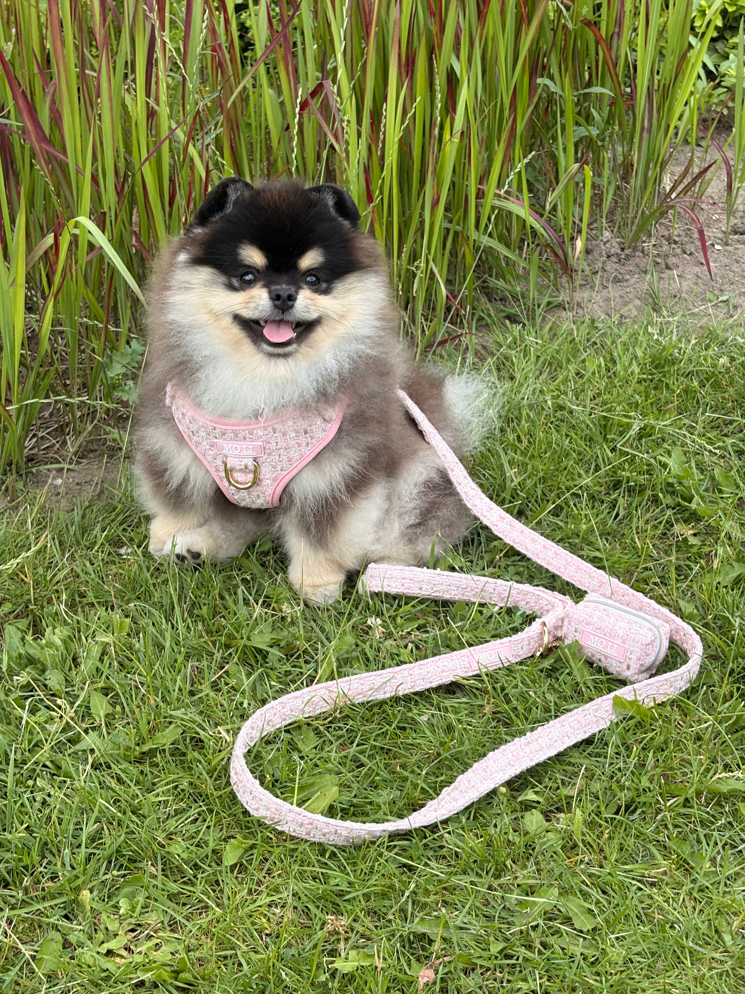 MoLi Tweed Pink